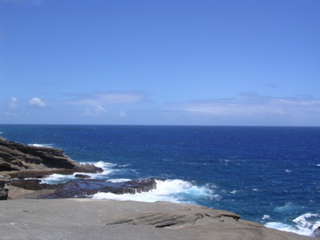 DSCN2731.jpg