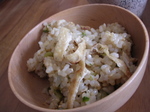 DSCN2524.jpg