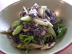 DSCN2613.jpg