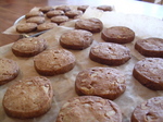 DSCN2658.jpg