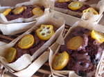 DSCN3007.jpg