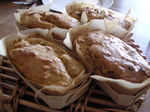 DSCN3052.jpg